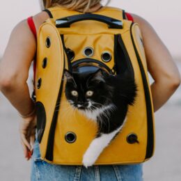 Bags and Wallets