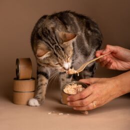 Feeding and Treats